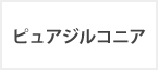 ピュアジルコニア